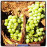 Geraci_Photo_01